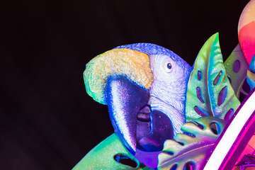 Concurso de maquillaje corporal del Carnaval de Las Palmas de GC (Foto Antonio Rico)
